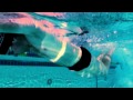 Swimming Training Program Secret Tip Legs - Lift