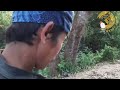 Sekilas Suku Baduy || Desa yang memikat perhatian dengan Swasembada Pangan dan Kearifan Lokal