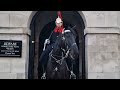 Get behind the bollards don't ignore me is that your bag #horseguardsparade