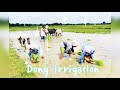 science art integration activity|| to study how irrigation system works in Nagaland || #Ranjeet pal#