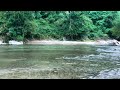 Natural Bird Sounds - Relaxing Mountains Sounds, Relaxing Forest Streams, Most Beautiful Nature