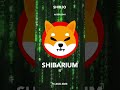 SHIBARIUM is LIVE!!! 🌎🌏🌍🔥 #SHIBARIUM #SHIB #ShibaInu