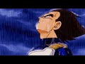 Vegeta standing in the rain for 20 minutes