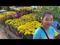 Chợ hoa xuân 2021 mùng 22 tháng chạp tại thành phố vĩnh long | Khương Nhựt Minh