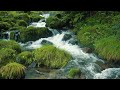 [Healing] Japan's beautiful river water and fresh greenery full of nature (Okudaisen)