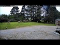 8 Bull Elk