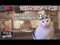 戦闘中をすることになった猫たちの日常Part3【猫ミーム】【猫マニ】