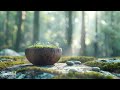 Massage music relaxation 1 hour, Spa music relaxation, Spa music no ads