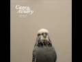 Cage & Aviary - Colourless Plastic