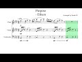 Purpose by Etham (Flute, Violin, Cello - Arrangement by Me)