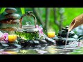 Meditative Piano Music🌿Bamboo, Relaxing Music, Nature Sounds, Relieves Stress Music, Calming Music