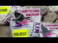 Pesca in Mare, ecco le nuova linea Cormorano Pasture! Prodotti Doc per un super potere attrattivo