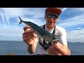 HOW TO CATCH MACKEREL ON LIGHT GEAR - PLUS FEATHERS | SHORE FISHING FOR MACKEREL