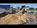 Start New Project Delete Pond !! Bulldozer Komat'su D20P Push Soil and Truck 5Ton Unloading Soil