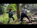 Heavy leaning maple tree gets a bore cut