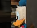 Duck: Donald Going for a walk￼￼