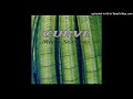 Curve - No Escape from Heaven (Instrumental - Radio Sessions 1992)