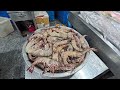 A Seafood Paradise in Iran : Fresh Catch at Bandar Abbas Fish Market