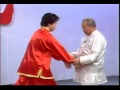 Xing Yi Quan Applications