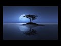 Relaxation Music for Calm