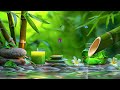 Bamboo Water Fountain and Healing Piano Music🌿Relaxing Music, Gentle Music, Meditation Music