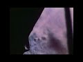 Apollo 11: America's Historic 1969 Moon Landing | Journey To The Stars | Spark