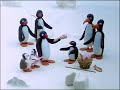 Pingu and Pinga Play at the Kindergarten 🐧 | Fisher-Price | Cartoons For Kids