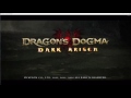 Dragon Dogma Save Manager Bug