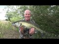 Zander fishing river Severn 21th July 2023