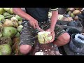 YOUNG COCONUT CUTTING SKILLS IN THE MOST YOUNG COCONUT CENTER