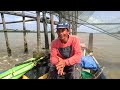 Catfish fishing in the estuary || This is the bait that sea catfish like the most