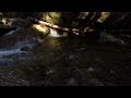 River Detail in White Mountains, New Hampshire, USA