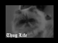 Cat Thug Life