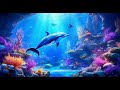 Enchanted Forest & Underwater Kingdom✨Relaxing Fantasy Piano BGM 🎹