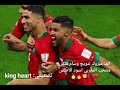 فديو كليب منتخب الوطني المغربي ❤️🇲🇦🦁⚽️