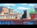 Lofi With My Cat || Travel Turkey with My Cat 🐈‍⬛🚩Chill/Sleep/Healing [ Lofi Mix - Lofi Study ]