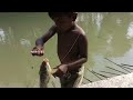 Video of fishing from the pond