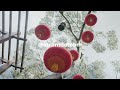 Chinese Lunar New Year celebration, Waikiki, Hawaii