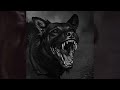 [FREE FOR PROFIT] Dark Trap Type Beat | Hellhound (145 BPM)
