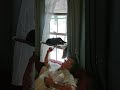 Crazy Tuxedo Cat Playing on Window Hammock@krazykittiesfunandcatswith838