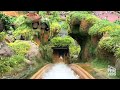 Tiana's Bayou Adventure FULL Ride POV [4K] Multi Cam- Magic Kingdom Walt Disney World