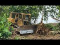 CAT D6R XL Bulldozer Cutting Down Trees For Land Clearing