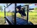 DogTips #4: All about the Dog TREADMILL + PROMO CODE Firepaw