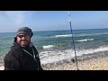 Surfcasting - La magia della pesca in spiaggia, Orata all’ alba su bibi