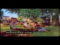 Arbor Day Foundation/Tree City USA PSA Commercial (2004)