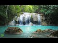 Calming music for nerves 🌿 healing music for the heart and blood, relaxation #2