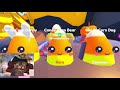 Buying Infinite Pet Gamepass in Roblox Candy Eating Simulator