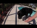 GoPro: Divot in the Pool