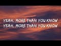 Axwell /\ Ingrosso - More Than You Know (Lyrics)