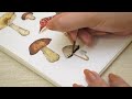 Easy Mushrooms Watercolor Painting Tutorial for Beginners • How To Paint Watercolor Mushrooms 🍄